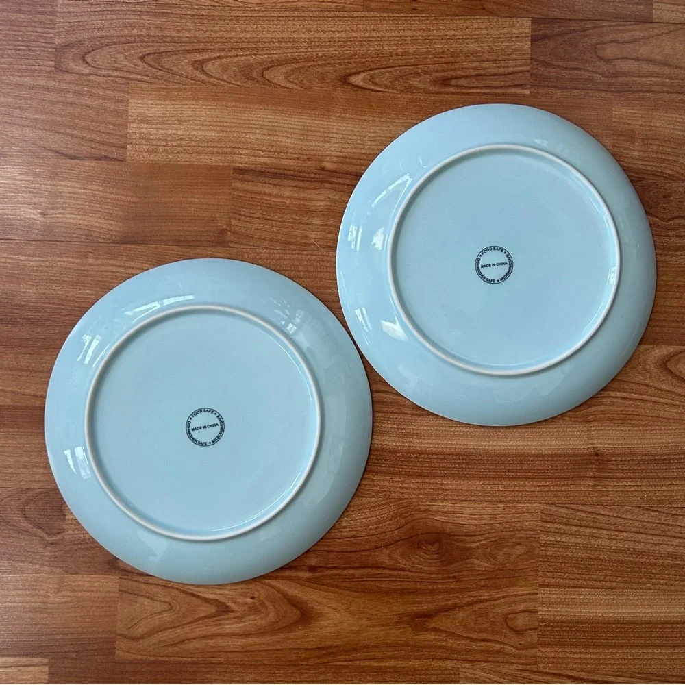 Two Hobby Lobby cherry blossom dinner plates